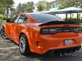 Dodge charger Custom